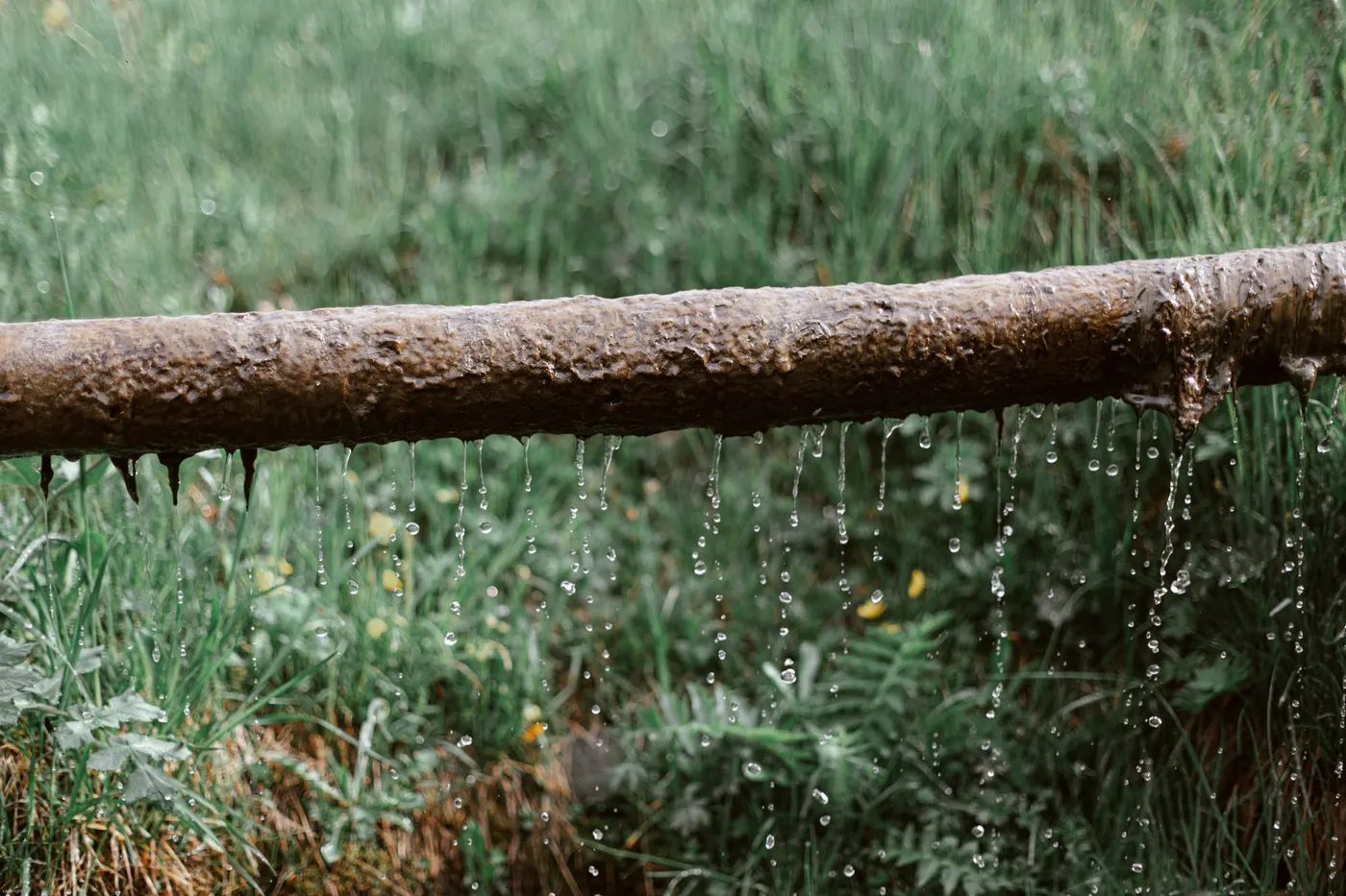 Rusty horizontal metal pipe with water dripping from its underside onto grass